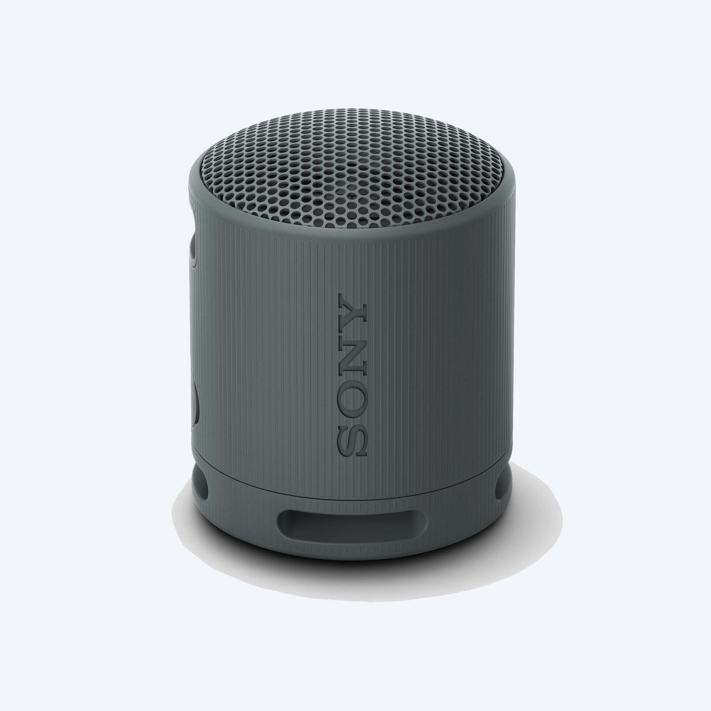 Sony SRS-XB100 Portable Wireless Speaker