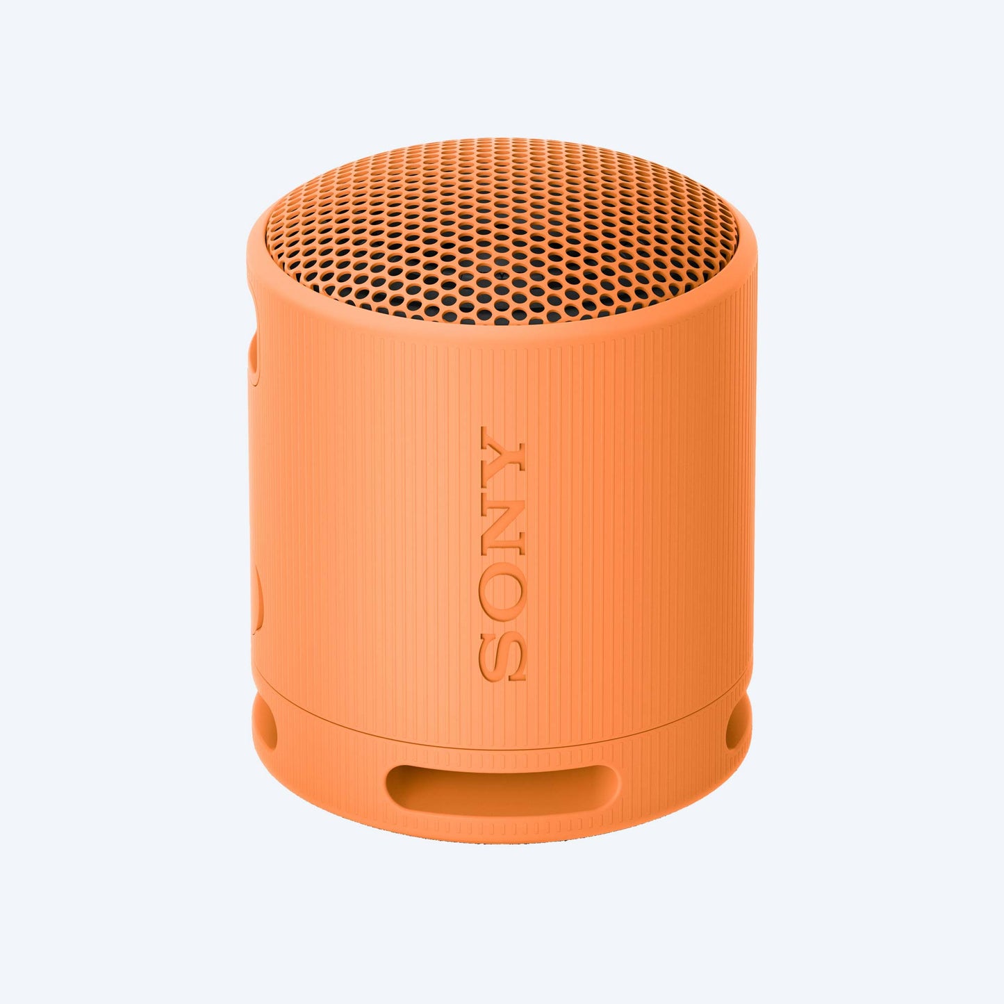 Sony SRS-XB100 Portable Wireless Speaker