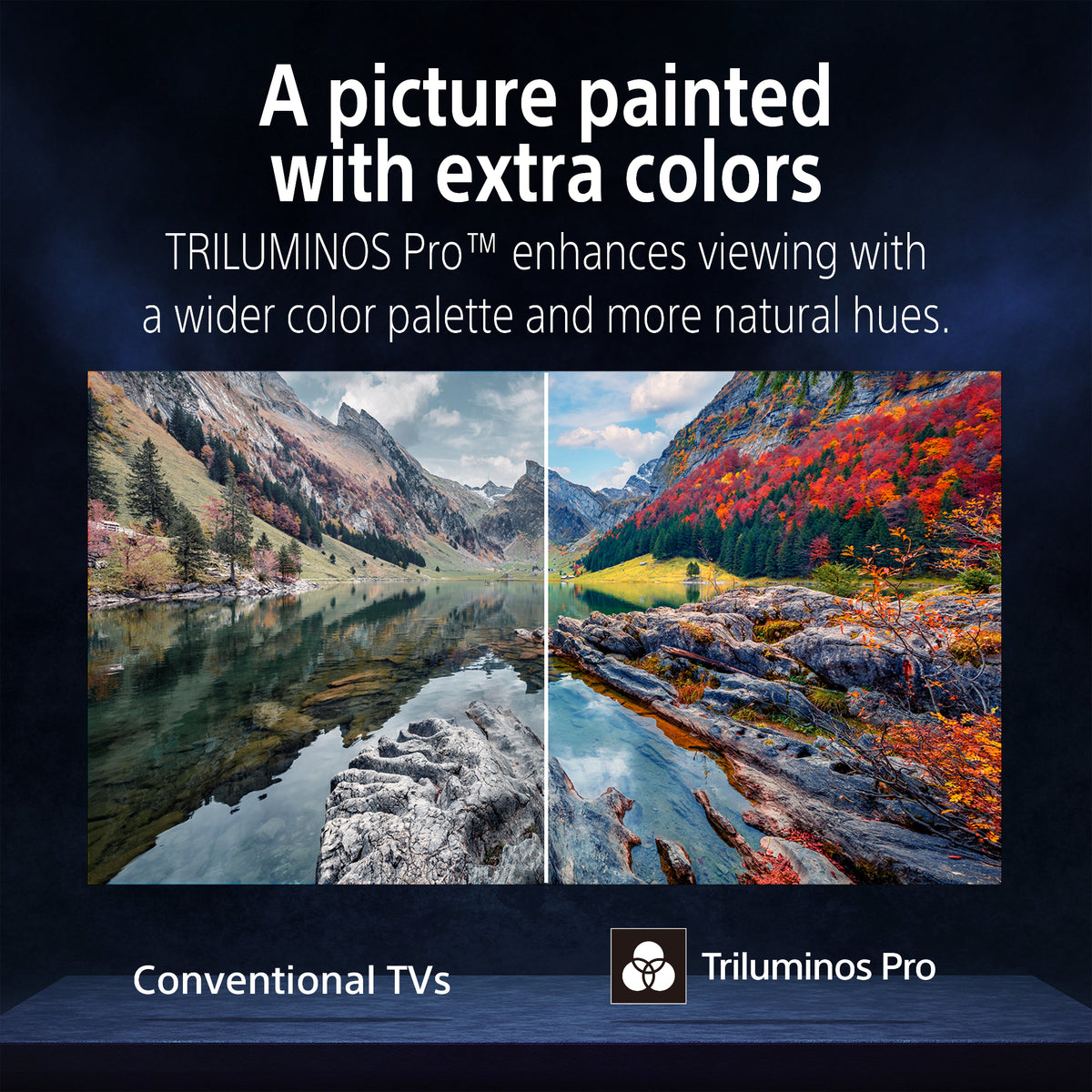 Sony BRAVIA 6 OLED TV, 2026 Model