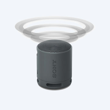 Buy Online Sony XB100 Portable Wireless Speaker – Sony World UAE