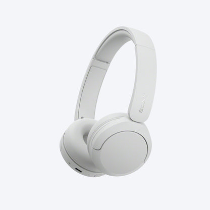 Sony WH-CH530 Wireless Headphones with Microphone