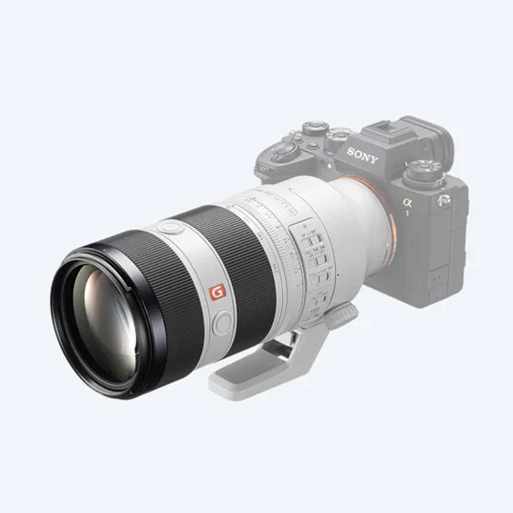 全商品オープニング価格！ ソニー FE 70-200mm F2.8 GM OSS SEL70200GM レンズ(ズーム) -  www.justfun-ntpc.com.tw